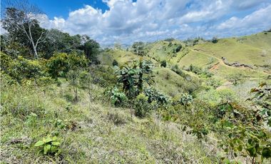 Se vende finca con agua en San Roque, Antioquia