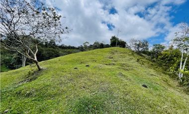 Se vende finca con agua en San Roque, Antioquia