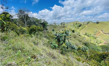 Se vende finca con agua en San Roque, Antioquia