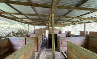 Se vende finca con agua en San Roque, Antioquia