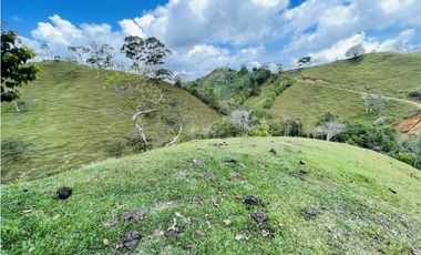 Se vende finca con agua en San Roque, Antioquia