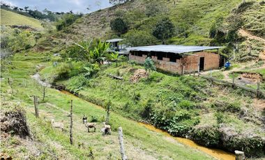 Se vende finca con agua en San Roque, Antioquia