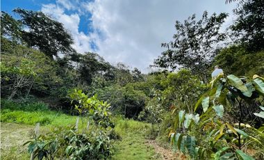 Se vende finca con agua en San Roque, Antioquia