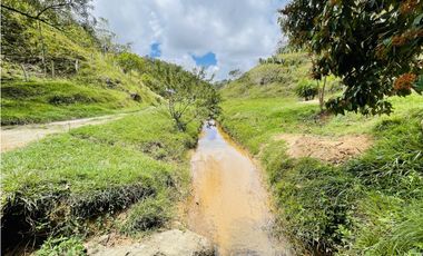 Se vende finca con agua en San Roque, Antioquia
