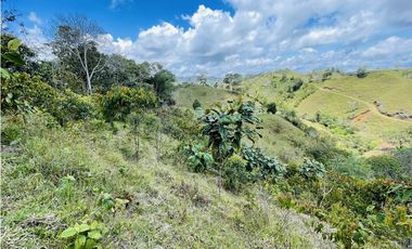 Se vende finca con agua en San Roque, Antioquia