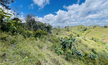 Se vende finca con agua en San Roque, Antioquia