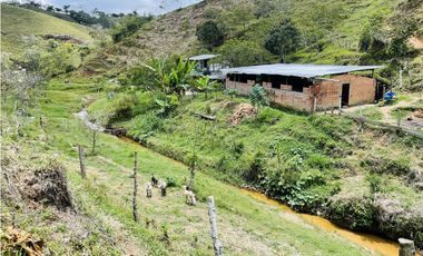 Se vende finca con agua en San Roque, Antioquia