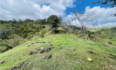 Se vende finca con agua en San Roque, Antioquia