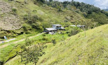 Se vende finca con agua en San Roque, Antioquia