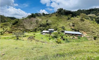 Se vende finca con agua en San Roque, Antioquia