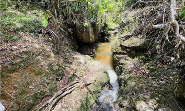 Se vende finca con agua en San Roque, Antioquia