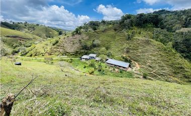 Se vende finca con agua en San Roque, Antioquia