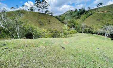 Se vende finca con agua en San Roque, Antioquia