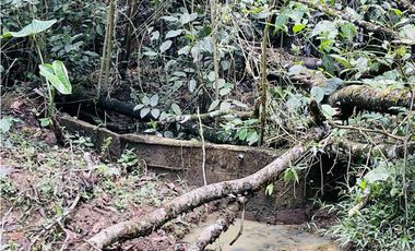 Se vende finca con agua en San Roque, Antioquia