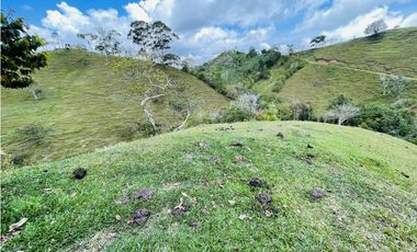 Se vende finca con agua en San Roque, Antioquia