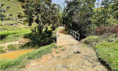 Se vende finca con agua en San Roque, Antioquia