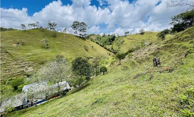 Se vende finca con agua en San Roque, Antioquia