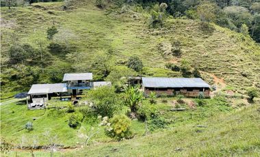 Se vende finca con agua en San Roque, Antioquia