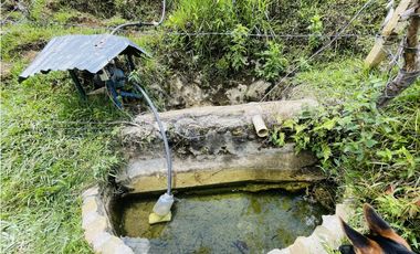 Se vende finca con agua en San Roque, Antioquia
