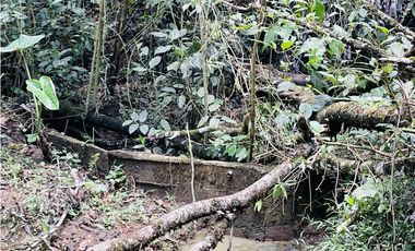 Se vende finca con agua en San Roque, Antioquia