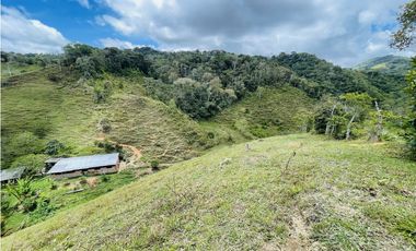 Se vende finca con agua en San Roque, Antioquia