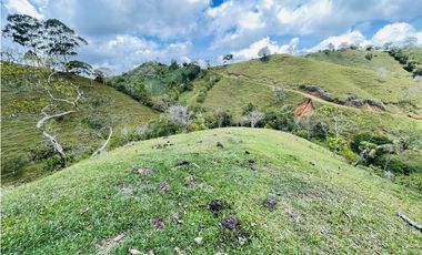 Se vende finca con agua en San Roque, Antioquia