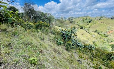 Se vende finca con agua en San Roque, Antioquia