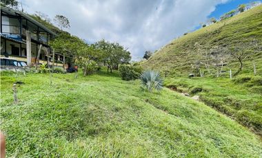 Se vende finca con agua en San Roque, Antioquia