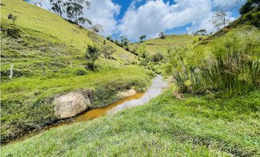 Se vende finca con agua en San Roque, Antioquia