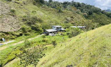 Se vende finca con agua en San Roque, Antioquia