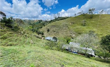 Se vende finca con agua en San Roque, Antioquia