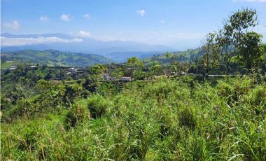 90 hectáreas cerca al Chontal