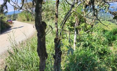 90 hectáreas cerca al Chontal