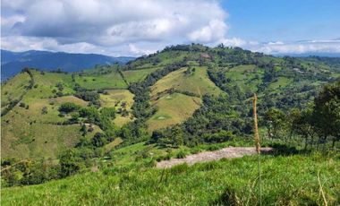 90 hectáreas cerca al Chontal