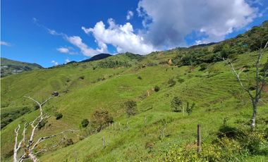 VENTA FINCA GANADERA, SANTIAGO, SANTO DOMINGO – ANTIOQUIA