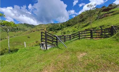VENTA FINCA GANADERA, SANTIAGO, SANTO DOMINGO – ANTIOQUIA