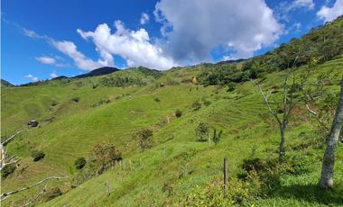 VENTA FINCA GANADERA, SANTIAGO, SANTO DOMINGO – ANTIOQUIA