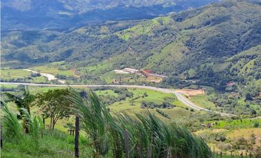 VENTA FINCA GANADERA, SANTIAGO, SANTO DOMINGO – ANTIOQUIA