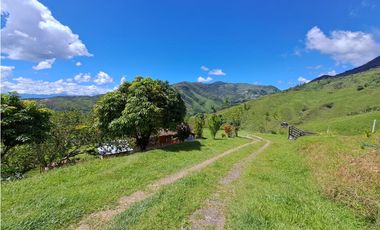 VENTA FINCA GANADERA, SANTIAGO, SANTO DOMINGO – ANTIOQUIA