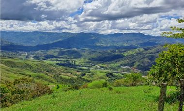 VENTA FINCA GANADERA, SANTIAGO, SANTO DOMINGO – ANTIOQUIA