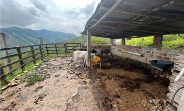 VENTA FINCA GANADERA, SANTIAGO, SANTO DOMINGO – ANTIOQUIA