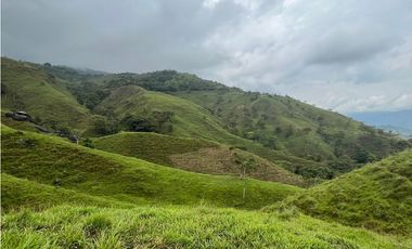 VENTA FINCA GANADERA, SANTIAGO, SANTO DOMINGO – ANTIOQUIA