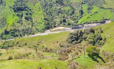 VENTA FINCA GANADERA, SANTIAGO, SANTO DOMINGO – ANTIOQUIA