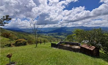 VENTA FINCA GANADERA, SANTIAGO, SANTO DOMINGO – ANTIOQUIA