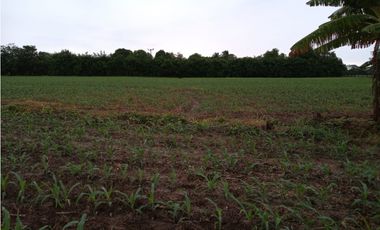 TERRENO EN VENTA CERCA A BALMORAL MONTERIA