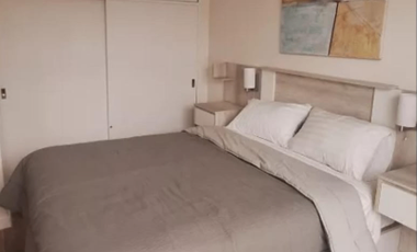 2 ambientes amueblados en alquiler temporario ( Palermo )