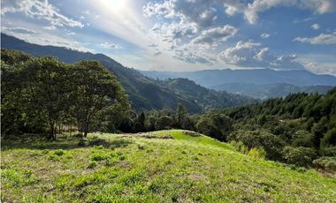 LOTES EN VENTA CALDAS LA MIEL