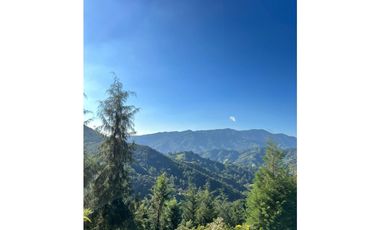 LOTES EN VENTA CALDAS LA MIEL