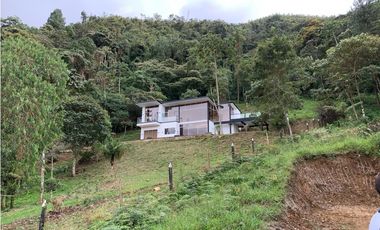 LOTES EN VENTA CALDAS LA MIEL