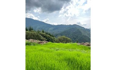 LOTES EN VENTA CALDAS LA MIEL